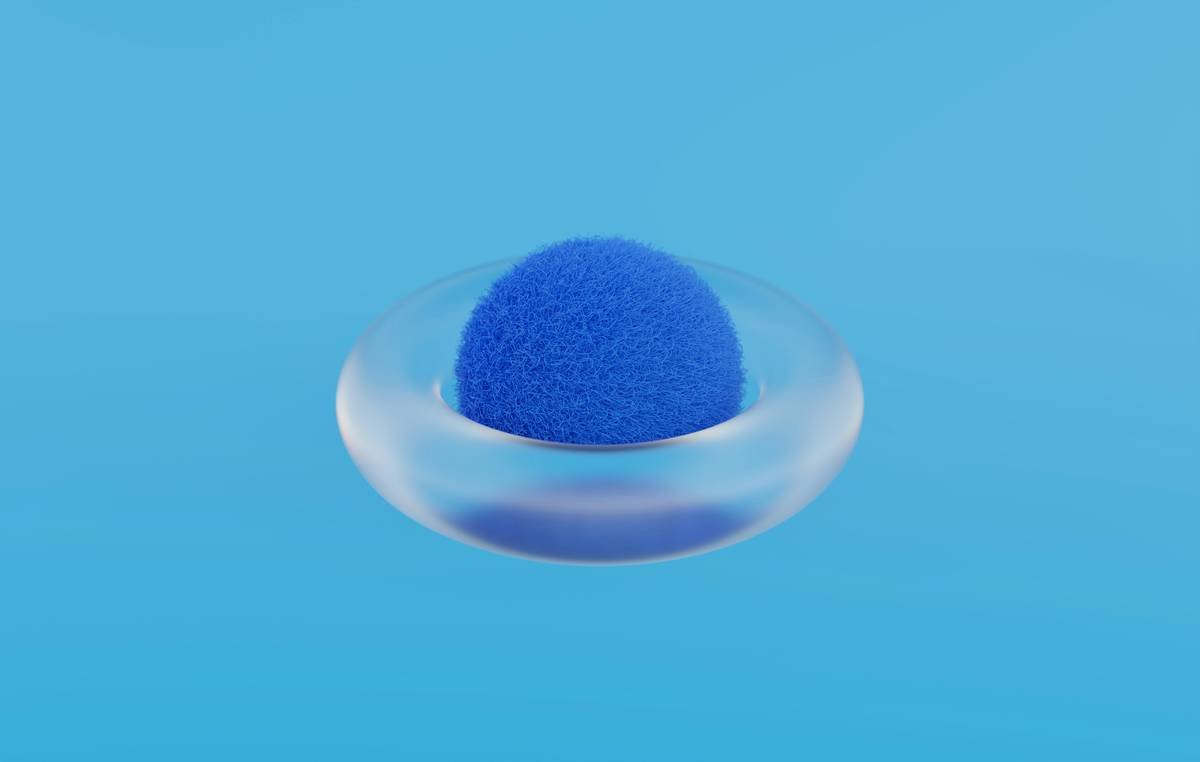 Why Your Routine Is Failing Without an Essential Cosmetic Sponge