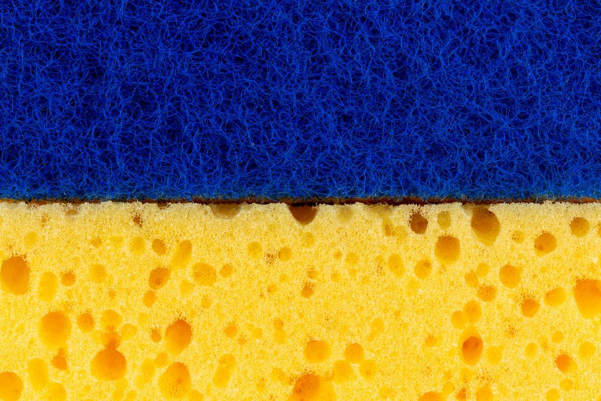 Clean blending tool sponge drying on a stand next to skincare products